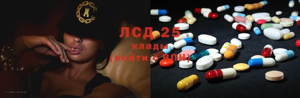 ПСИЛОЦИБИНОВЫЕ ГРИБЫ Алексин