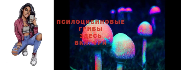 ПСИЛОЦИБИНОВЫЕ ГРИБЫ Алексин