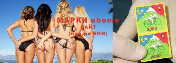 тгк Пестово